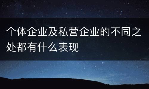 个体企业及私营企业的不同之处都有什么表现
