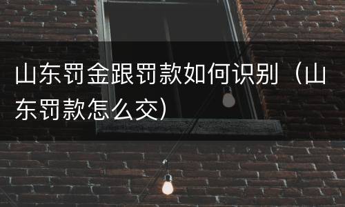 山东罚金跟罚款如何识别（山东罚款怎么交）