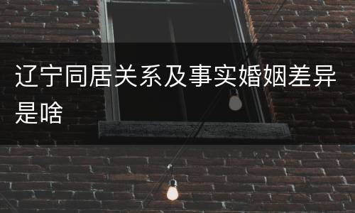 辽宁同居关系及事实婚姻差异是啥
