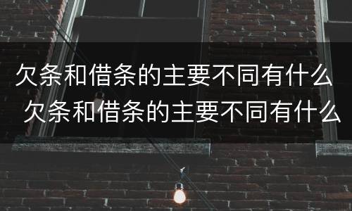 欠条和借条的主要不同有什么 欠条和借条的主要不同有什么影响