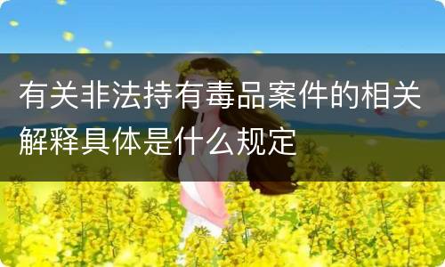 有关非法持有毒品案件的相关解释具体是什么规定
