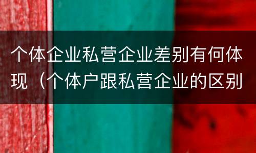 个体企业私营企业差别有何体现（个体户跟私营企业的区别）