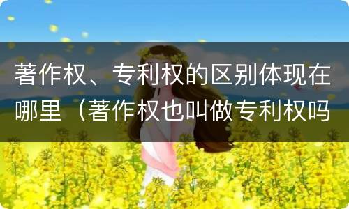 著作权、专利权的区别体现在哪里（著作权也叫做专利权吗）