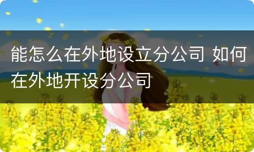 能怎么在外地设立分公司 如何在外地开设分公司