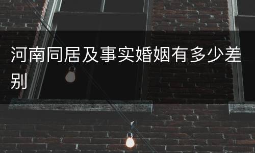 河南同居及事实婚姻有多少差别