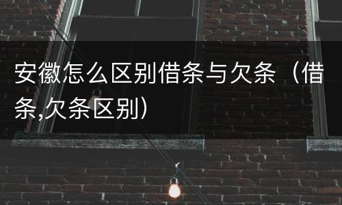 安徽怎么区别借条与欠条（借条,欠条区别）