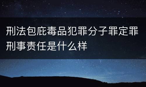 刑法包庇毒品犯罪分子罪定罪刑事责任是什么样