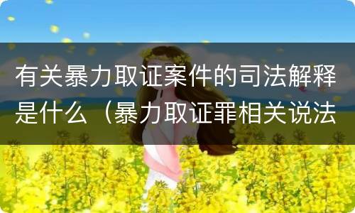有关暴力取证案件的司法解释是什么（暴力取证罪相关说法正确的是）