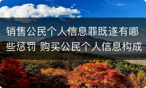 销售公民个人信息罪既遂有哪些惩罚 购买公民个人信息构成什么罪