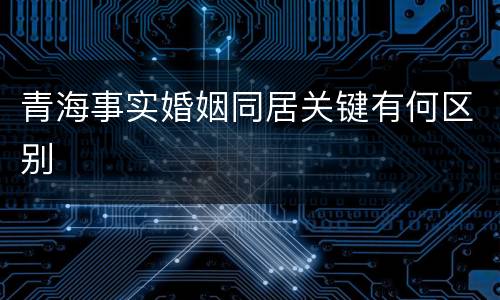 青海事实婚姻同居关键有何区别