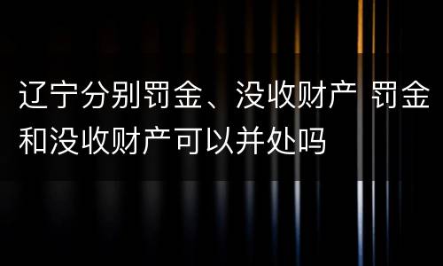 辽宁分别罚金、没收财产 罚金和没收财产可以并处吗