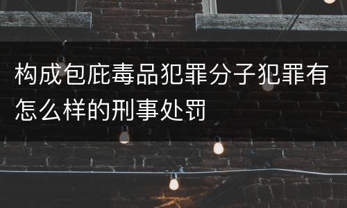 构成包庇毒品犯罪分子犯罪有怎么样的刑事处罚
