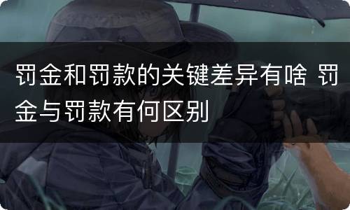 罚金和罚款的关键差异有啥 罚金与罚款有何区别
