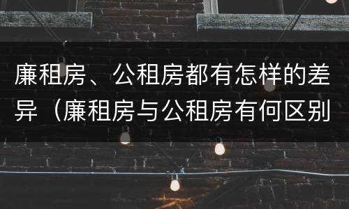 廉租房、公租房都有怎样的差异（廉租房与公租房有何区别）