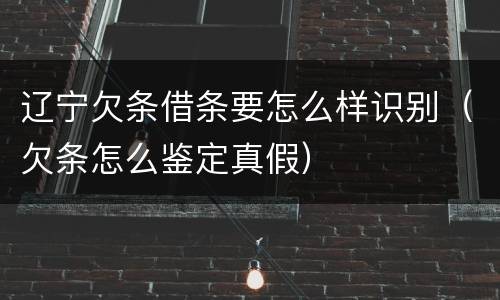 辽宁欠条借条要怎么样识别（欠条怎么鉴定真假）