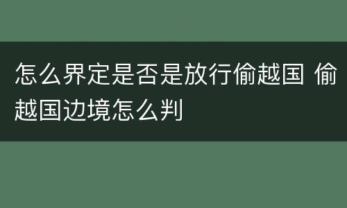 怎么界定是否是放行偷越国 偷越国边境怎么判