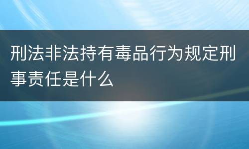 刑法非法持有毒品行为规定刑事责任是什么