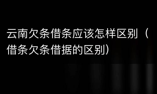 云南欠条借条应该怎样区别（借条欠条借据的区别）