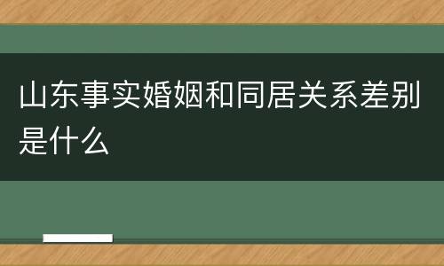 山东事实婚姻和同居关系差别是什么