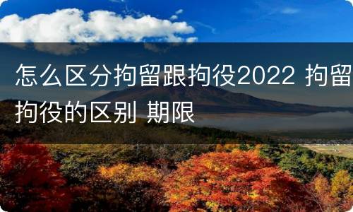 怎么区分拘留跟拘役2022 拘留拘役的区别 期限