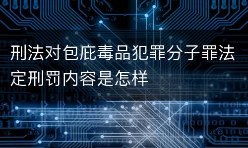 刑法对包庇毒品犯罪分子罪法定刑罚内容是怎样