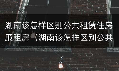 湖南该怎样区别公共租赁住房廉租房(湖南该怎样区别公共租赁住房廉租房和住宅)