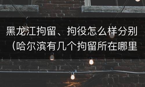 黑龙江拘留、拘役怎么样分别（哈尔滨有几个拘留所在哪里）