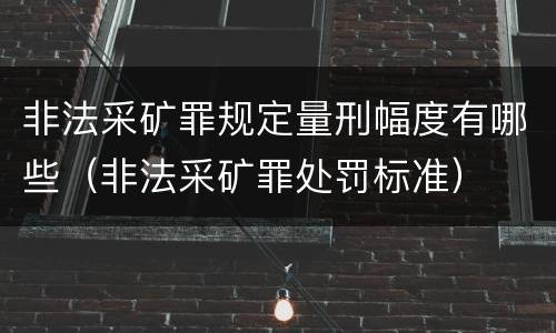 非法采矿罪规定量刑幅度有哪些（非法采矿罪处罚标准）