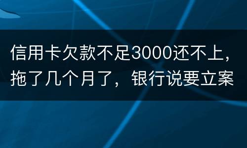 信用卡欠款不足3000还不上，拖了几个月了，银行说要立案，会坐牢吗