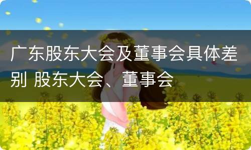 广东股东大会及董事会具体差别 股东大会、董事会