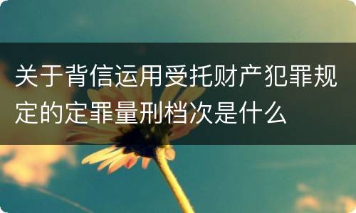 关于背信运用受托财产犯罪规定的定罪量刑档次是什么