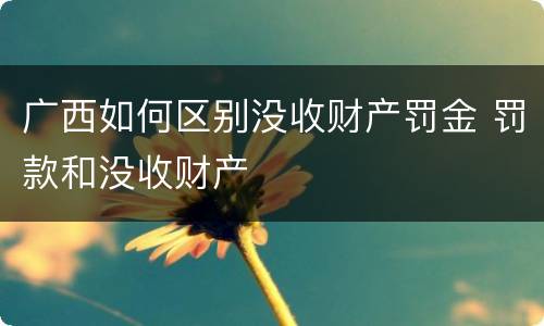 广西如何区别没收财产罚金 罚款和没收财产