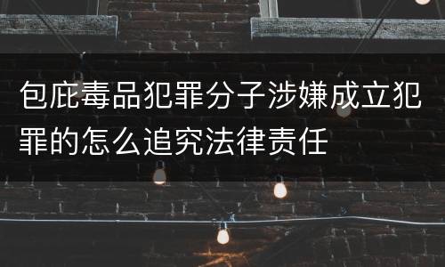 包庇毒品犯罪分子涉嫌成立犯罪的怎么追究法律责任