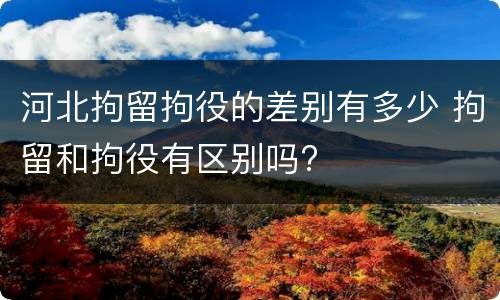 河北拘留拘役的差别有多少 拘留和拘役有区别吗?