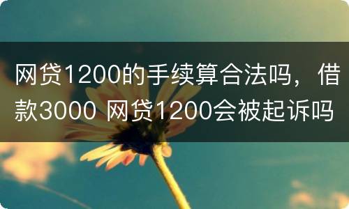网贷1200的手续算合法吗，借款3000 网贷1200会被起诉吗