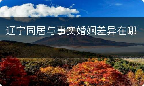 辽宁同居与事实婚姻差异在哪