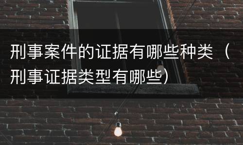 刑事案件的证据有哪些种类（刑事证据类型有哪些）