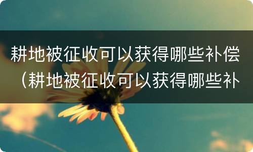 耕地被征收可以获得哪些补偿（耕地被征收可以获得哪些补偿款）