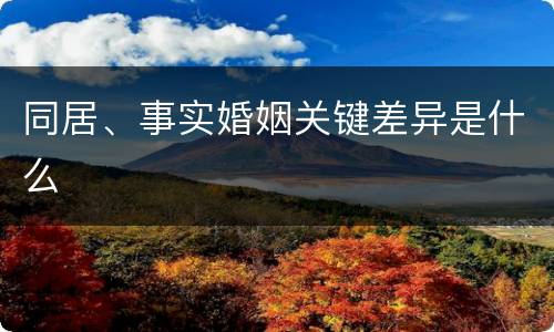 同居、事实婚姻关键差异是什么