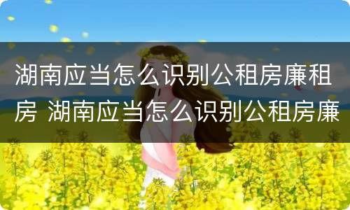 湖南应当怎么识别公租房廉租房 湖南应当怎么识别公租房廉租房和商品房