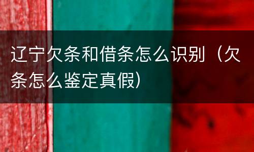 辽宁欠条和借条怎么识别（欠条怎么鉴定真假）
