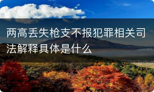 两高丢失枪支不报犯罪相关司法解释具体是什么