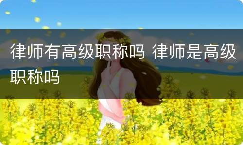 律师有高级职称吗 律师是高级职称吗