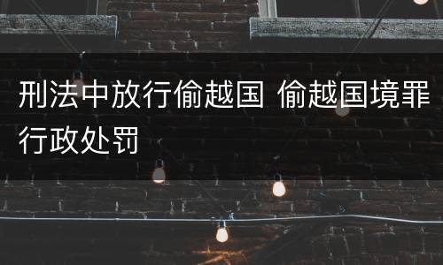 刑法中放行偷越国 偷越国境罪行政处罚