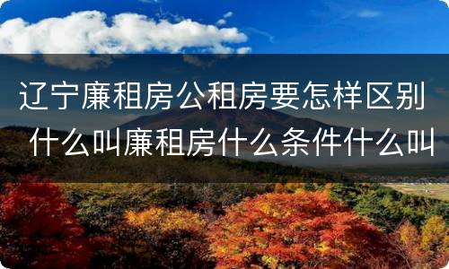 辽宁廉租房公租房要怎样区别 什么叫廉租房什么条件什么叫公租房