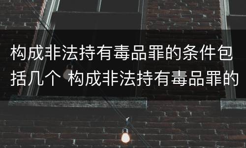 构成非法持有毒品罪的条件包括几个 构成非法持有毒品罪的条件是