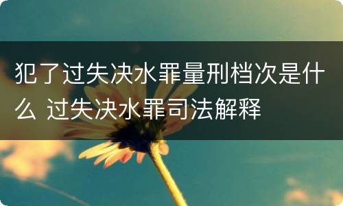 犯了过失决水罪量刑档次是什么 过失决水罪司法解释