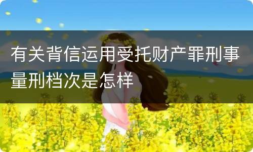 有关背信运用受托财产罪刑事量刑档次是怎样