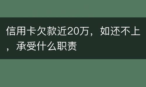 信用卡欠款近20万，如还不上，承受什么职责