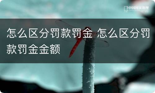 怎么区分罚款罚金 怎么区分罚款罚金金额) 怎么区分罚款罚金 怎么区分罚款罚金金额